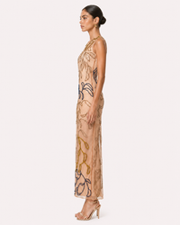 Sheer Dress