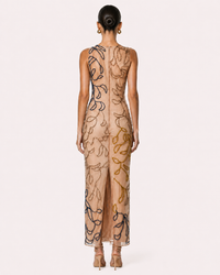 Sheer Dress